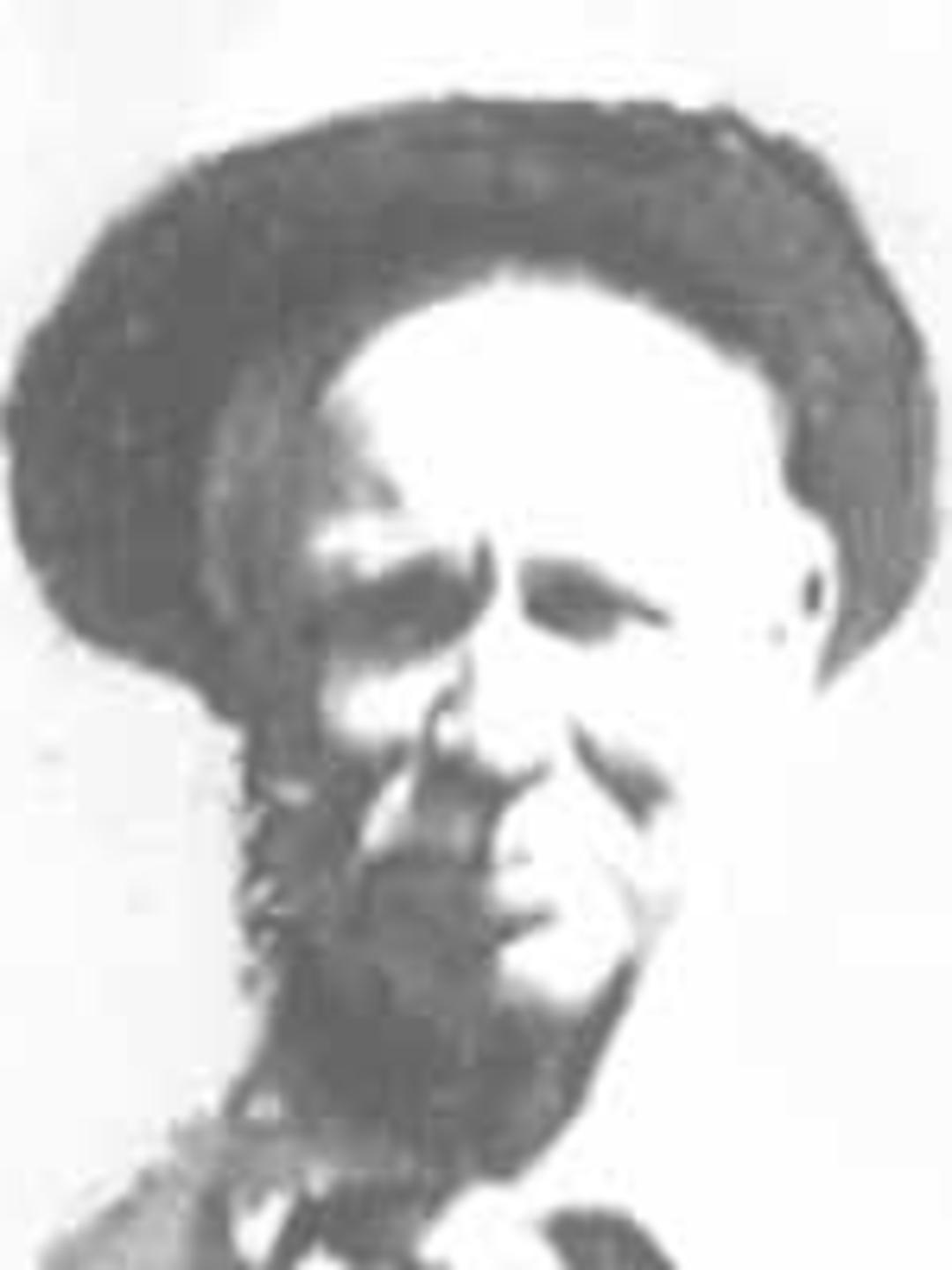 John Wesley Clark Jr. (1848 - 1920) Profile